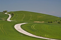 Cesta_do_kopaníc_-_foto_Adrián_Schultz
