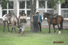 MMD_2013_005
