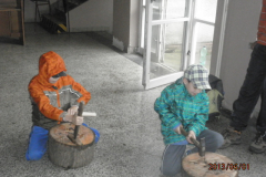 MMD_2013_014