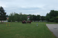 DSCF1917