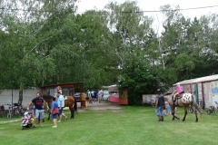 DSC00959
