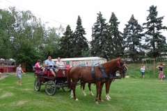 DSC00960