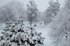 DSCF9195022013