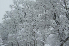 DSCF921003022013