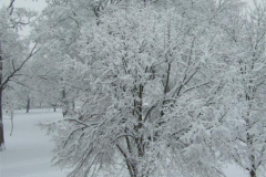 DSCF925003022013