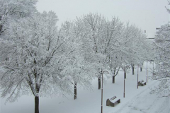 DSCF9251022013