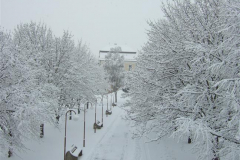DSCF9254022013