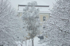 DSCF925503022013