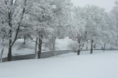 DSCF926803022013