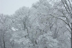 DSCF927103022013