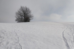 Prvý-tohoročný-sneh-039