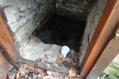 Prvý-tohoročný-sneh-043