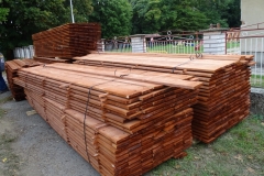 Stará-MŠ-092019-21