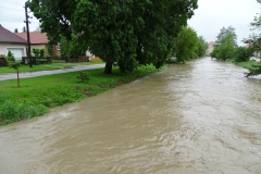DSC02179