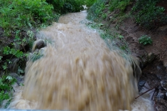 DSC02211