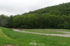 DSC02225