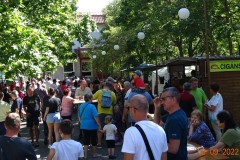 Gulas-2022-60d