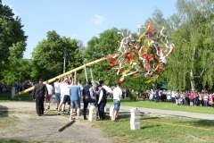 Máj 2018 (14)