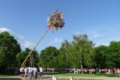 Máj 2018 (18)