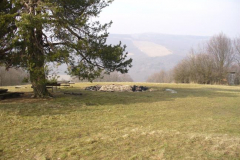 P1190771