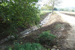 DSCF7175ZVO18102011
