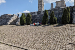 PXL_20230722_084448496