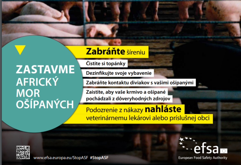 Africký mor ošípaných – informácia